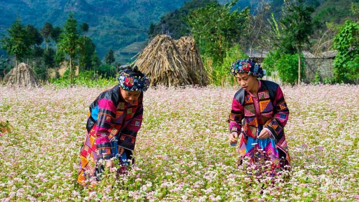 Bản Phó Bảng với vẻ đẹp truyền thống.