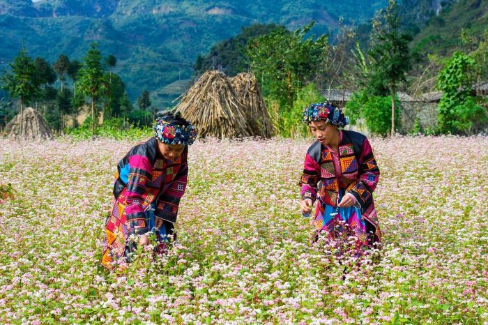 Khám phá văn hóa dân tộc ở Sủng Là.