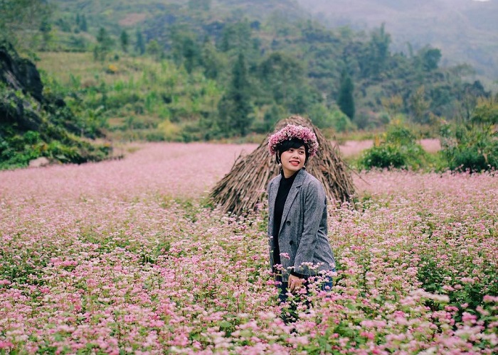 Có nên đi du lịch Hà Giang tháng 12.