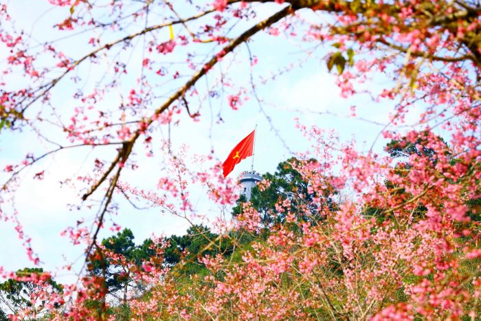 Cột cờ Lũng Cú Hà Giang tháng 1.